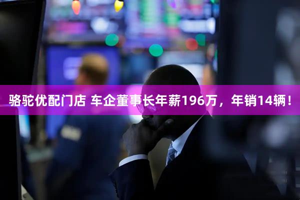 骆驼优配门店 车企董事长年薪196万，年销14辆！