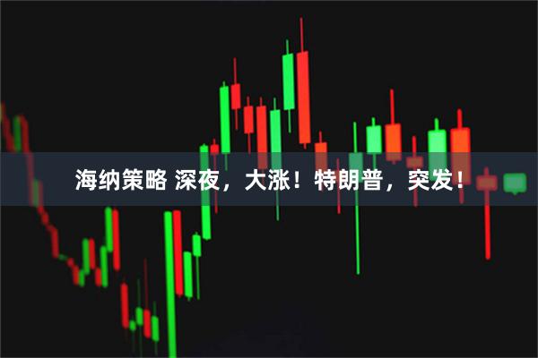 海纳策略 深夜，大涨！特朗普，突发！