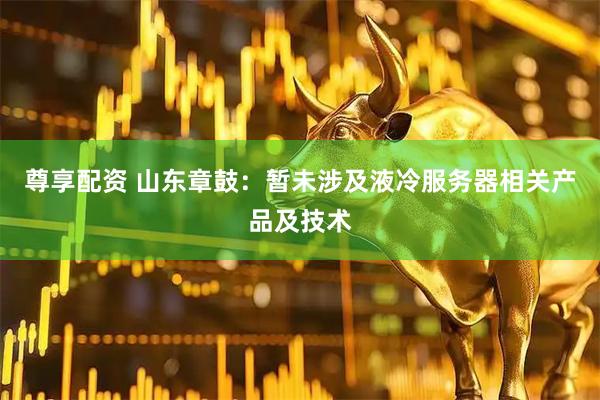 尊享配资 山东章鼓：暂未涉及液冷服务器相关产品及技术