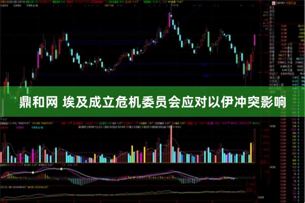 鼎和网 埃及成立危机委员会应对以伊冲突影响