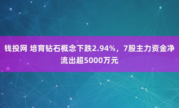 钱投网 培育钻石概念下跌2.94%，7股主力资金净流出超5000万元