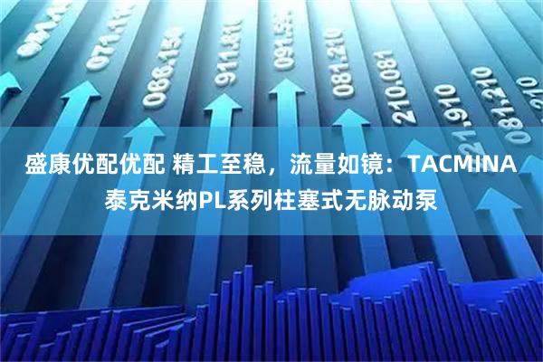 盛康优配优配 精工至稳，流量如镜：TACMINA泰克米纳PL系列柱塞式无脉动泵