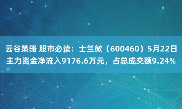 云谷策略 股市必读：士兰微（600460）5月22日主力资金净流入9176.6万元，占总成交额9.24%