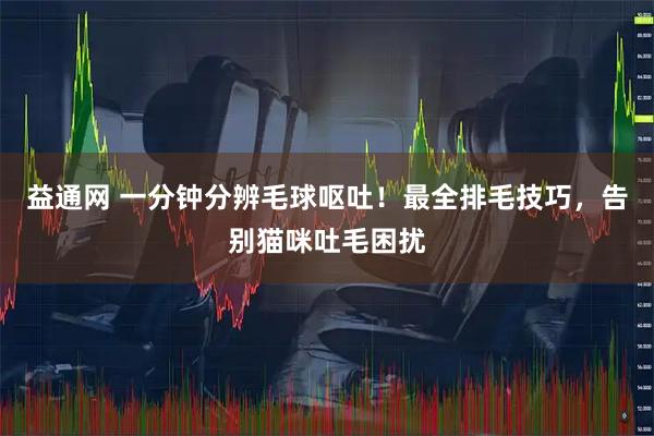 益通网 一分钟分辨毛球呕吐！最全排毛技巧，告别猫咪吐毛困扰